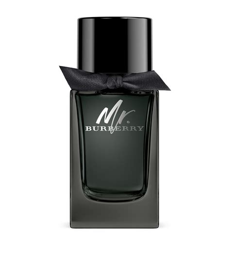 mr burberry eau de parfum chemist warehouse|mr burberry indigo 100ml.